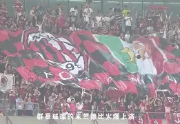 公告信息-华沙军团近期战绩
